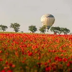 Casa vacanze Karolinengarten Karolinengarten
