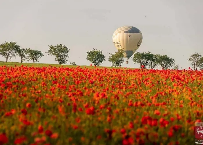 Prázdninový dům Karolinengarten Karolinengarten